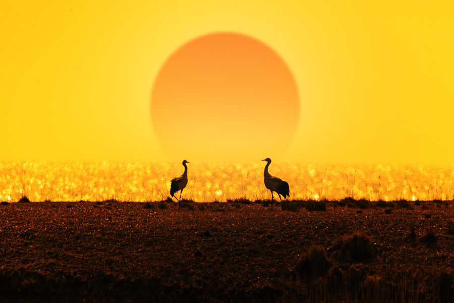 “雪山大地·影像季”參賽作品展（二十）