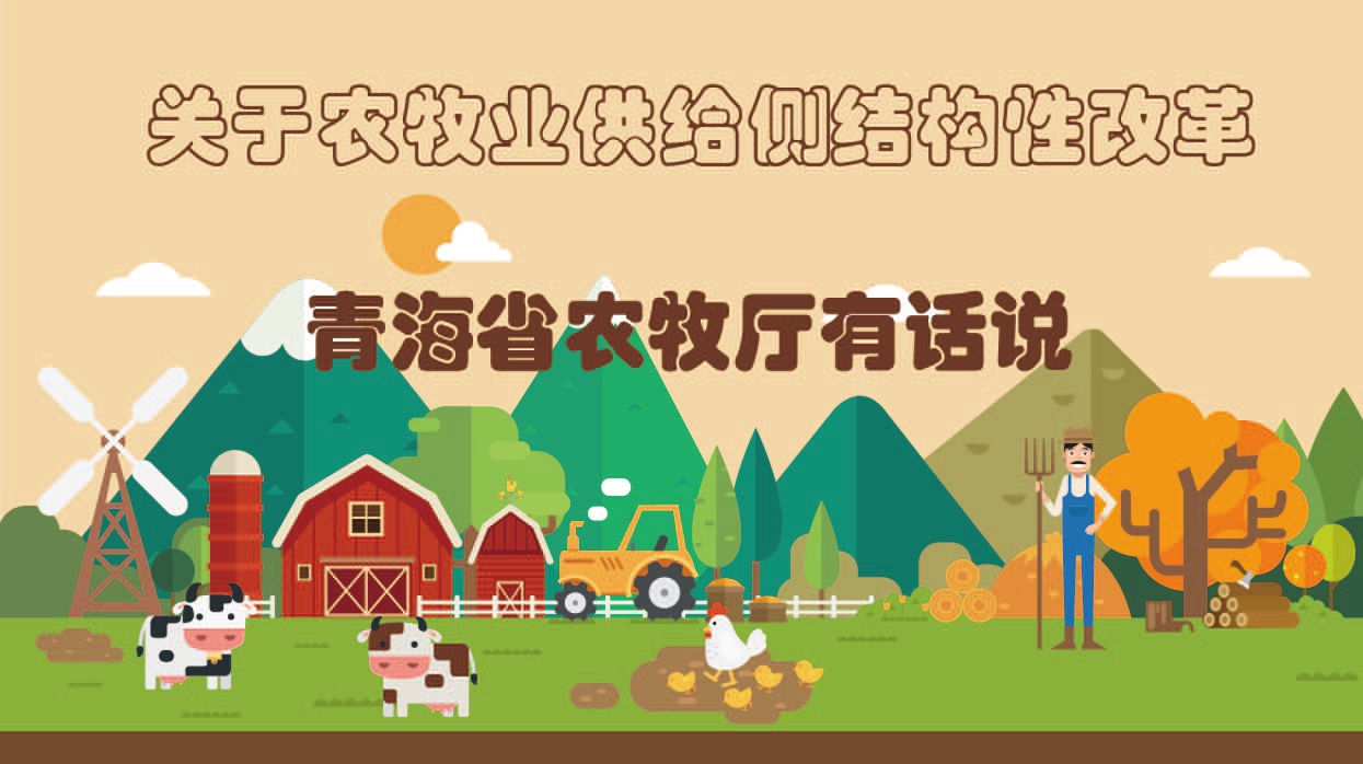 關(guān)于農(nóng)牧業(yè)供給側(cè)結(jié)構(gòu)性改革 青海農(nóng)牧廳有話說(shuō)