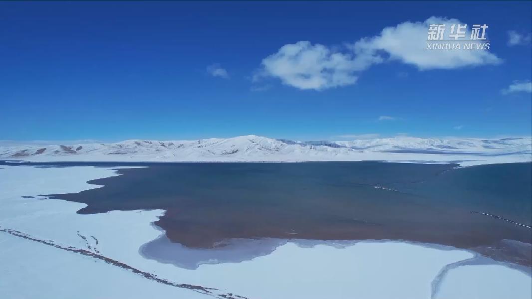 青?，敹啵憾喾N珍稀野生動物亮相黃河源頭