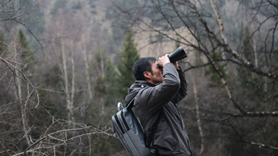 青海黃南：守護(hù)麥秀林場